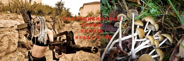 ешки Нея