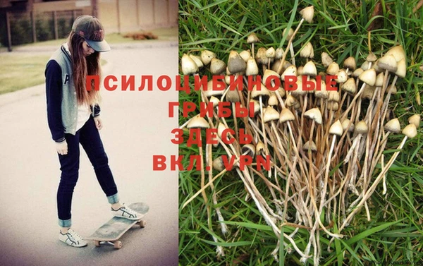 a pvp Нефтекумск