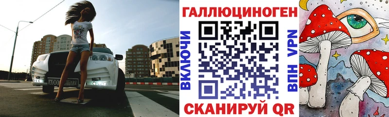 Псилоцибиновые грибы Cubensis  Исилькуль 