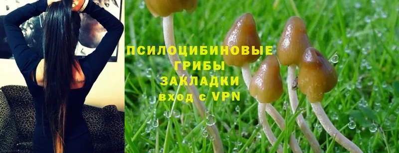 Псилоцибиновые грибы Magic Shrooms  Исилькуль 